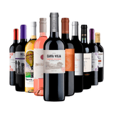 Kit Vinhos 10 Garrafas Seleção Especial