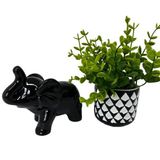 Conjunto Decoração Vaso Artesanal + Elefante Preto Cerâmico