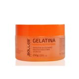 Gelatina Capilar Salles Profissional 250g