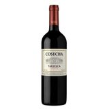 Vinho Chileno Tarapacá Cosecha Carménère