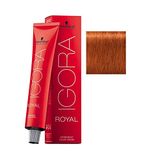 Tinta Cabelo Igora Royal Schwarzkopf 7-77 Loiro Médio