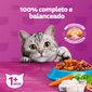 racao-whiskas-peixe-para-gatos-adultos-500-g-4.jpg