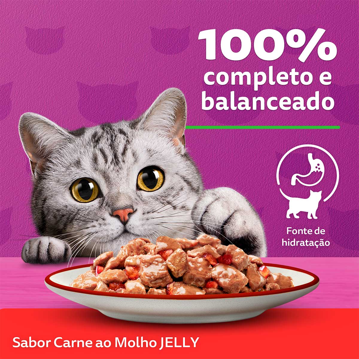 racao-umida-whiskas-sache-carne-jelly-para-gatos-adultos-85-g-5.jpg