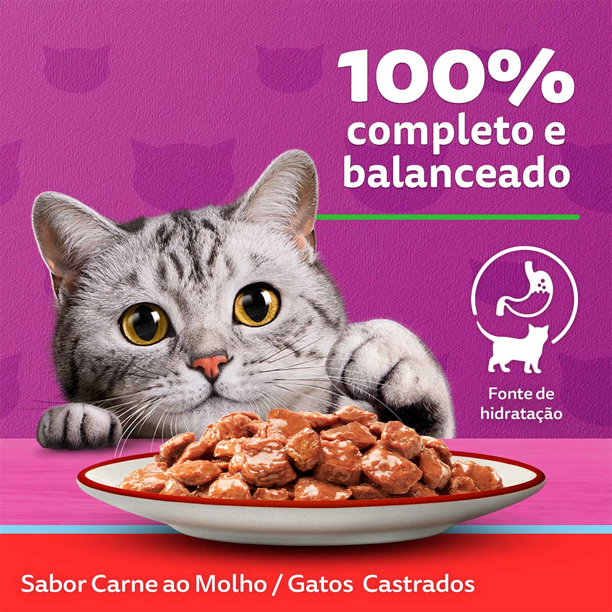 racao-umida-whiskas-sache-carne-ao-molho-para-gatos-adultos-castrados-85-g-5.jpg