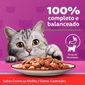 racao-umida-whiskas-sache-carne-ao-molho-para-gatos-adultos-castrados-85-g-5.jpg