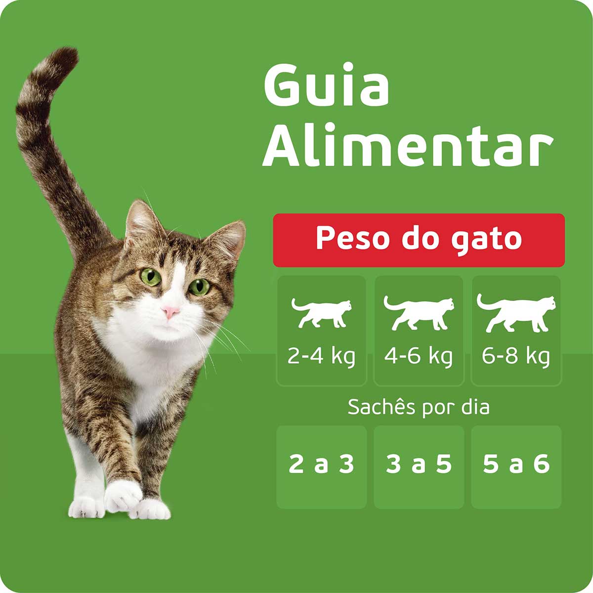 racao-umida-kitekat-sache-peixe-ao-molho-para-gatos-adultos-70-g-7.jpg