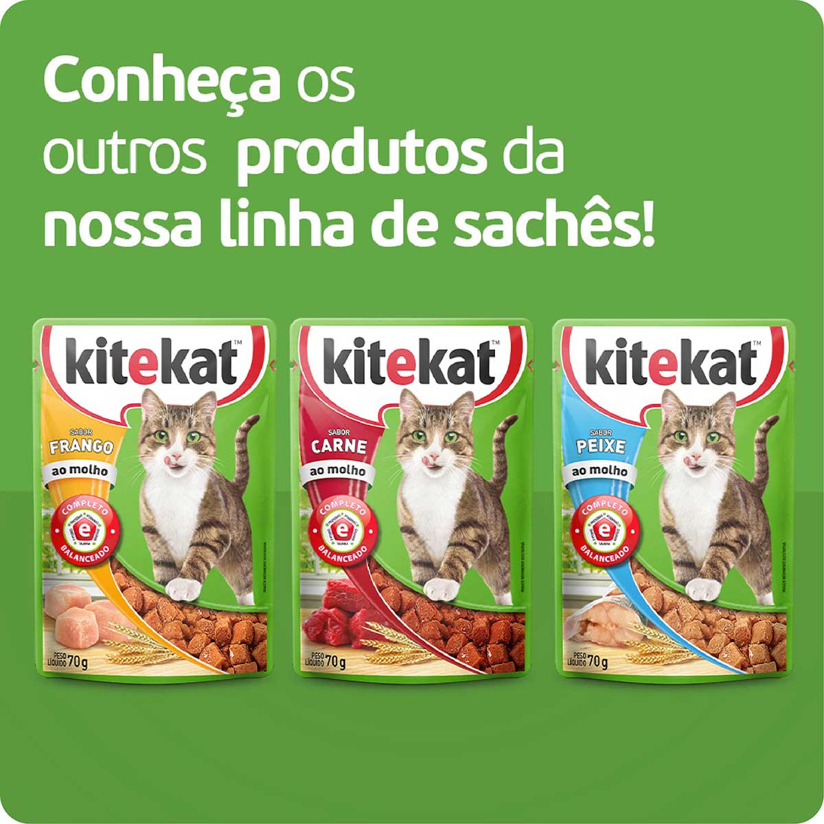 racao-umida-kitekat-sache-carne-ao-molho-para-gatos-adultos-70-g-6.jpg