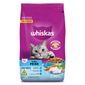 racao-whiskas-sabor-peixe-para-gatos-adultos-castrados-com-900-g-2.jpg