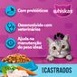 racao-whiskas-sabor-peixe-para-gatos-adultos-castrados-com-900-g-3.jpg