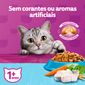 racao-whiskas-sabor-peixe-para-gatos-adultos-castrados-com-900-g-4.jpg