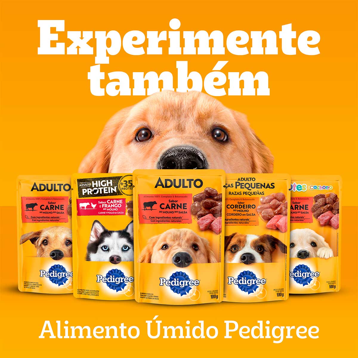 racao-pedigree-dry-filhote-sabor-carne-frango-e-cerais-900-g-8.jpg