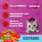 racao-whiskas-sabor-carne-para-gatos-castrados-com-27-kg-3.jpg