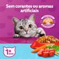 racao-whiskas-sabor-carne-para-gatos-castrados-com-27-kg-4.jpg