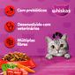 racao-whiskas-sabor-carne-para-gatos-adultos-com-900-g-3.jpg