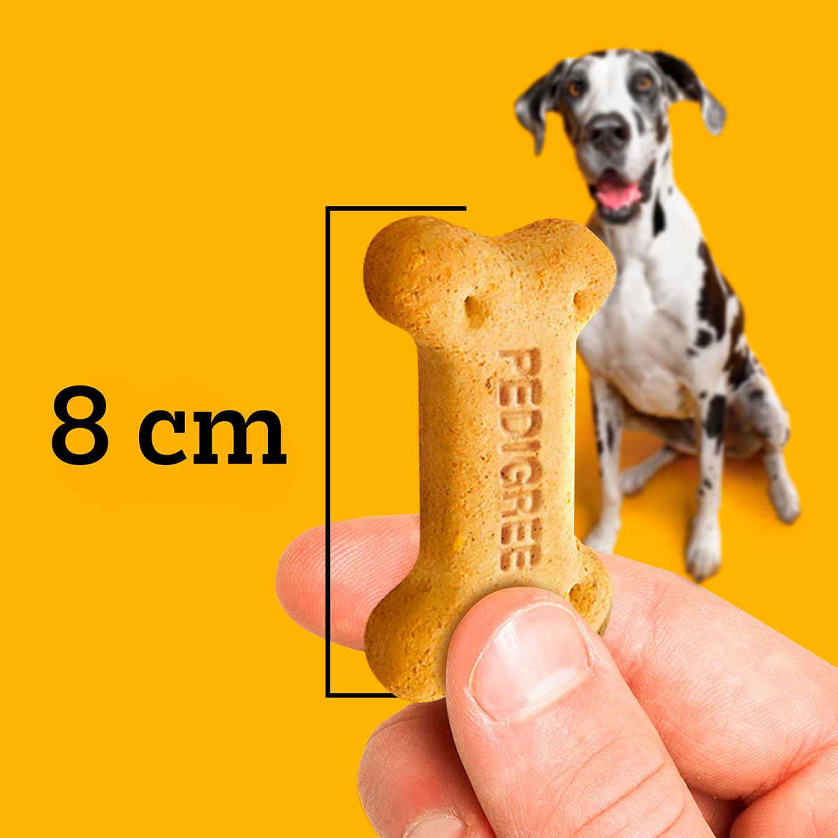 biscoito-pedigree-biscrok-para-caes-adultos-racas-grandes-1-kg-5.jpg