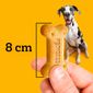 biscoito-pedigree-biscrok-para-caes-adultos-racas-grandes-500-g-5.jpg