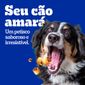 biscoito-pedigree-marrobone-carne-para-caes-adultos-500-g-10.jpg