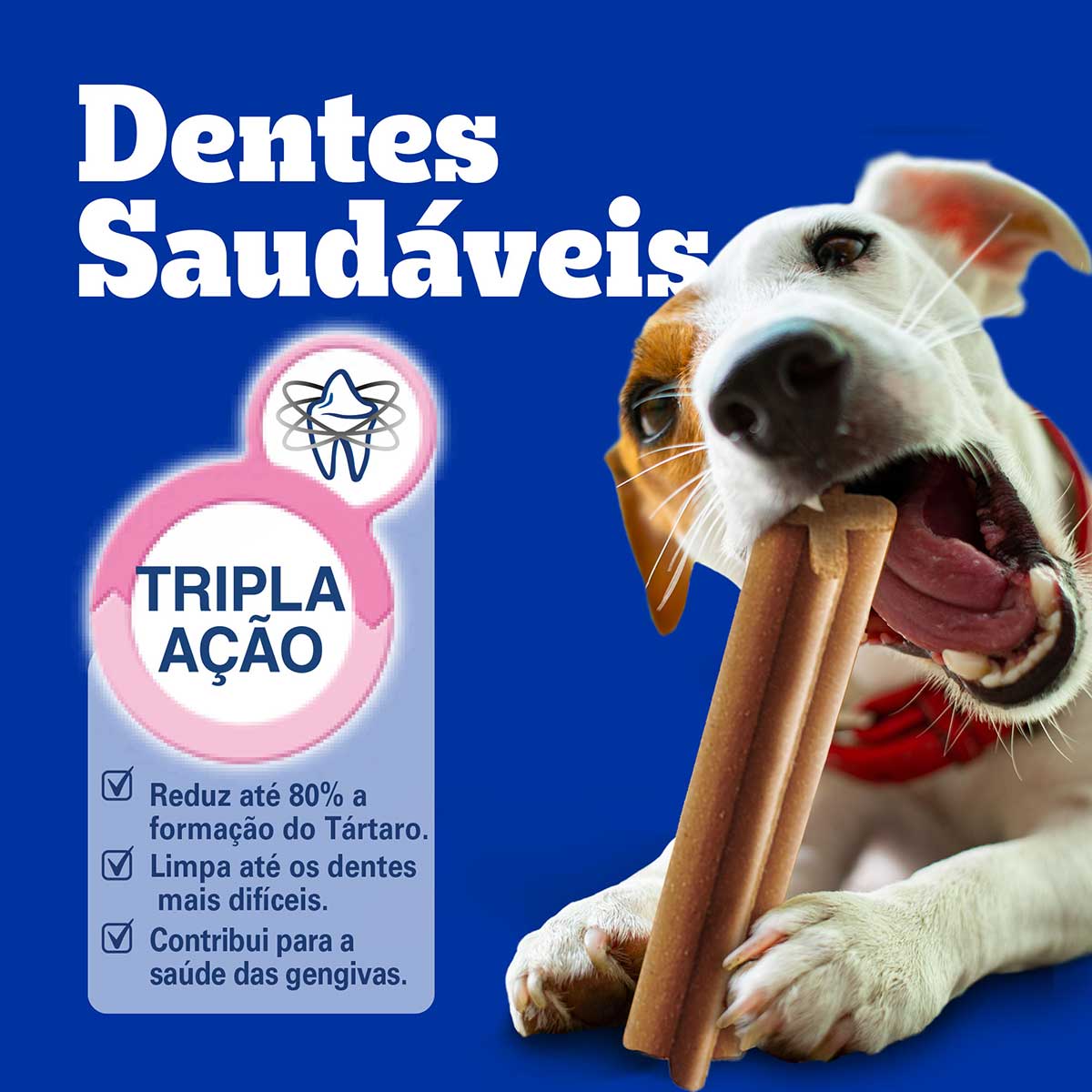 petisco-pedigree-dentastix-cuidado-oral-para-caes-adultos-racas-pequenas-3-sticks-6.jpg