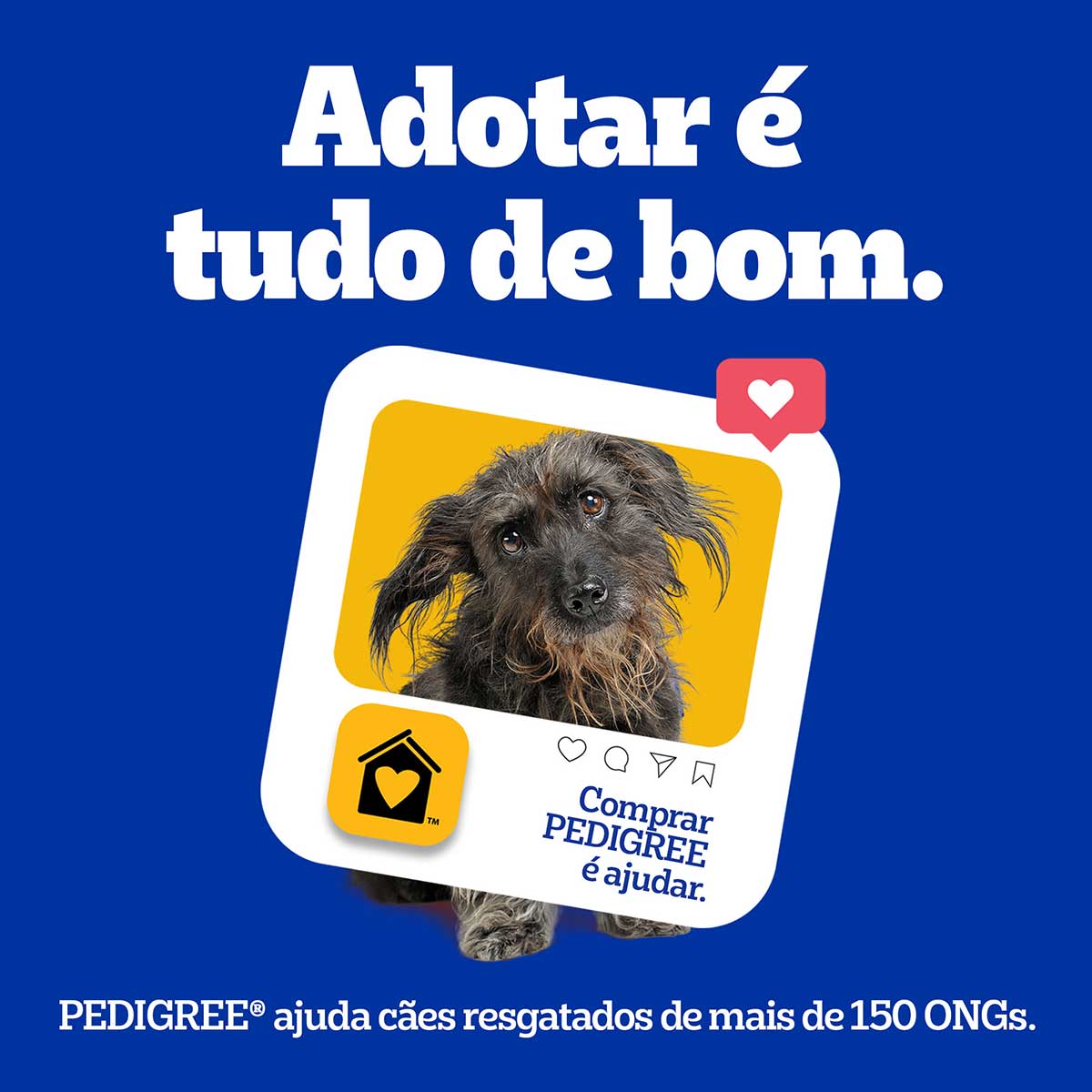 petisco-pedigree-dentastix-cuidado-oral-para-caes-adultos-racas-pequenas-7-sticks-10.jpg