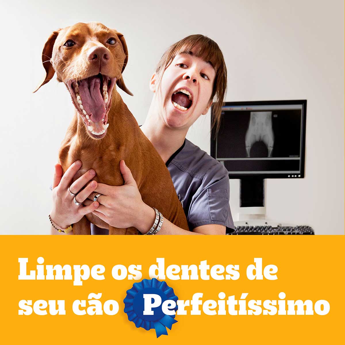 petisco-pedigree-dentastix-cuidado-oral-para-caes-adultos-racas-pequenas-7-sticks-11.jpg