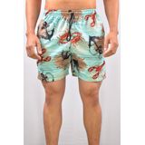 Short Praia Masculino Âncora - Verde Água