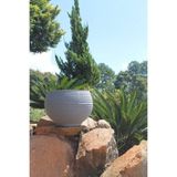 Vaso para Plantas Redondo em Polietileno 42 Esfera Lattice 33cmx31cm Japi Cimento