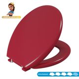Assento Sanitário Oval Almofadado Astra Bordo