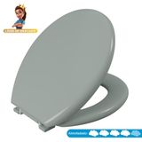 Assento Sanitário Oval Almofadado Astra Verde claro 09