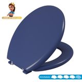 Assento Sanitário Oval Almofadado Astra Azul 11