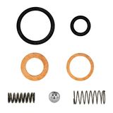 Kit Reparo Bomba Injetora Motor Yanmar Ns Original