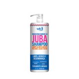 Shampoo Widi Care Higienizando A Juba Cachos E Crespos  1 L