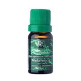 Óleo Essencial 100% Puro - Tea Tree (melaleuca) - 10 Ml