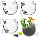 4pcs Vidro De Cristal Copos De Plantas Aquáticas Vasos Aquáticos Com Suct