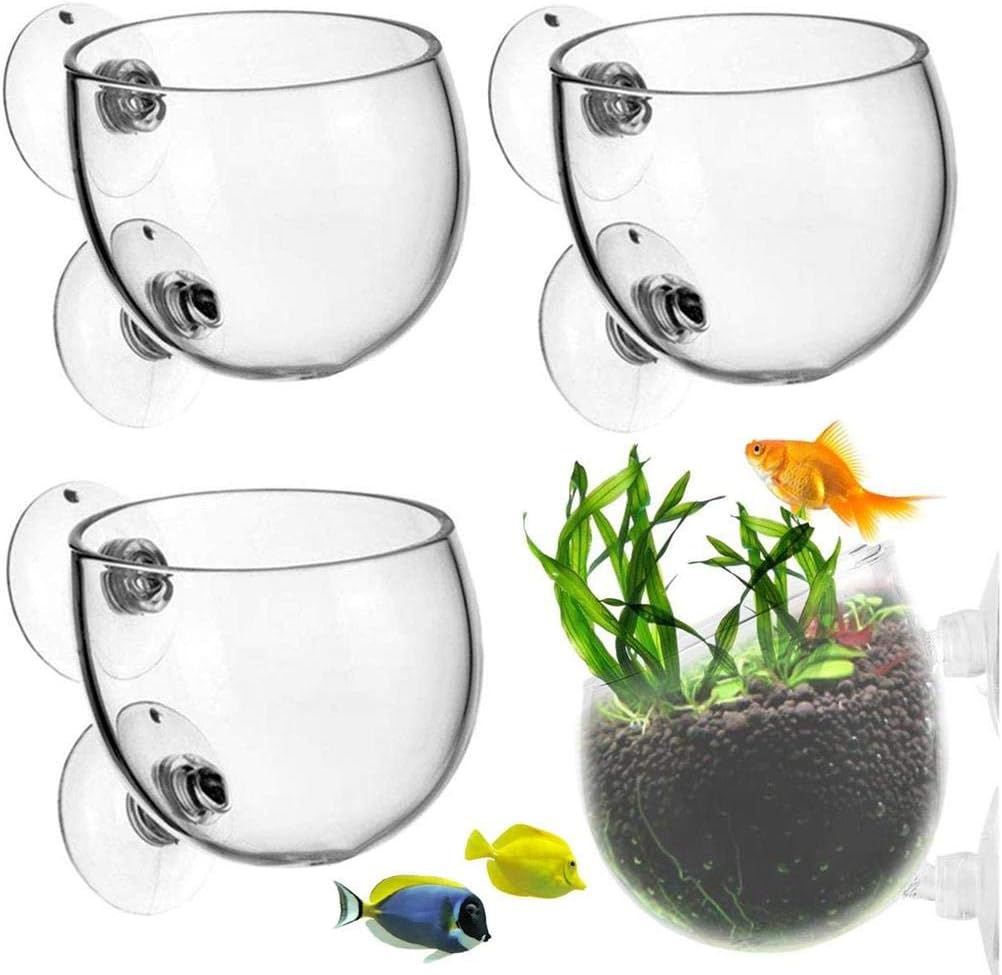 4pcs Vidro De Cristal Copos De Plantas Aquáticas Vasos Aquáticos Com Suct