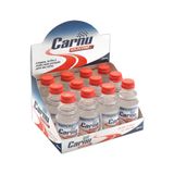 Caixa Com 12un Silicone Automotivo Liquido Carnu 100ml