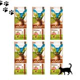 Kit 6 Stick Para Gatos Spin Pet Nine Cat Frango 20g