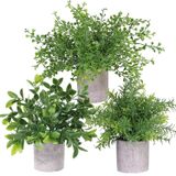 Conjunto De 3 Mini Vasos De Plantas Artificiais De Eucalipto R