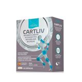 Suplemento Em Cápsulas Equaliv Cartliv Em Caixa  60 Cápsulas