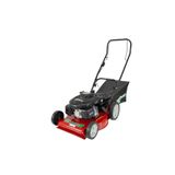 Cortador De Grama Robusta Gasolina 6hp Com Recolhedor Gr-6000c Garthen