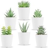 6 Packs Plantas Falsas Para Quarto Estética Succule Artificial