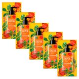 Kit 5 Sabonete Líquido Para Mãos Lux Essências Do Brasil Flor Cajueiro Refil 240ml