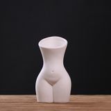 Arranjo De Flores Domésticas, Vaso De Cerâmica Do Corpo Da Mulher