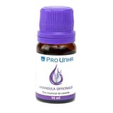 Óleo De Lavanda 100% Puro E Natural Pro Unha 10 Ml