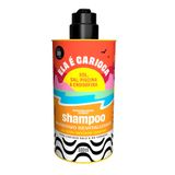 Shampoo Lola Ela É Carioca Nutritivo 500ml