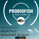 Probiofisch Minerais Vitaminas Probióticos Probiótico 5 Kg