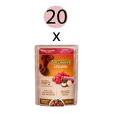 Kit 20 Ração Special Dog Sache Cães Filhotes Carne 100g