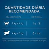 Kit 12 Ração Úmida Nestlé Purina Cat Chow Castrados Peixe Ao Molho Sachê 85g