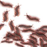 60 Pcs Falsos Centopeias Simuladas Centipedes Brinquedos De Brincadeira De Inseto Para Favores De Festa De Halloween E Decoração