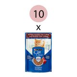 Kit 10 Ração Úmida Nestlé Purina Cat Chow Castrados Carne Ao Molho Sachê 85g