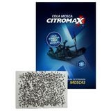 Cartela Cola Mosca Citromax 50 Unidades